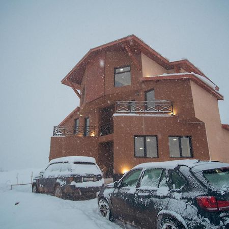 The Hills Hostel Gudauri Ngoại thất bức ảnh